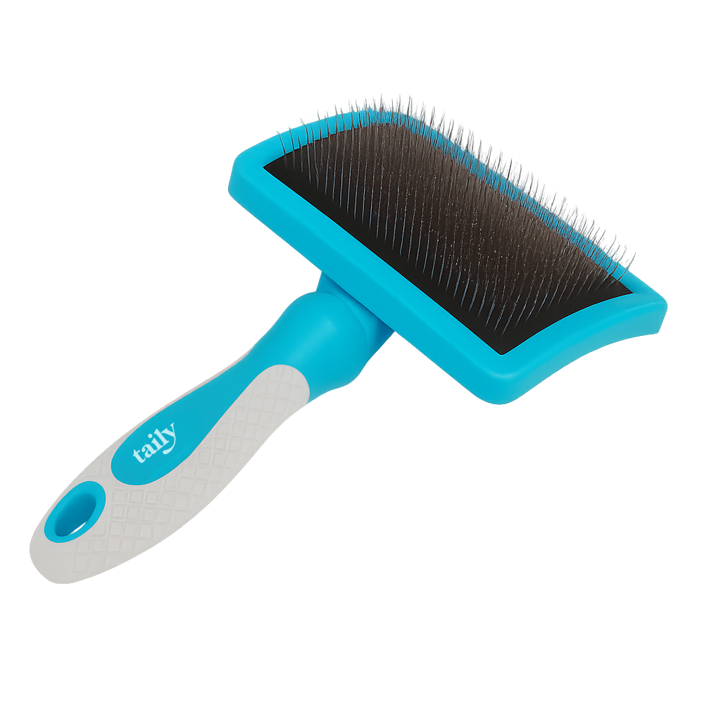 daily brush