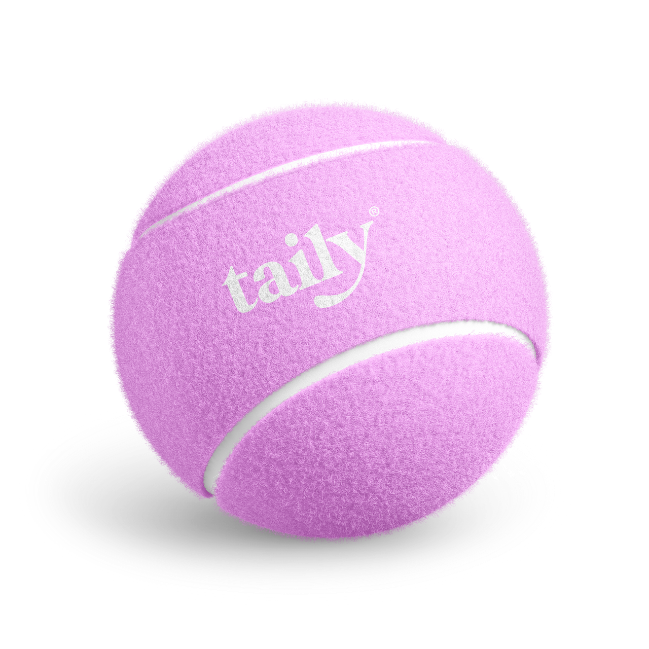 tennis ball 2 pack