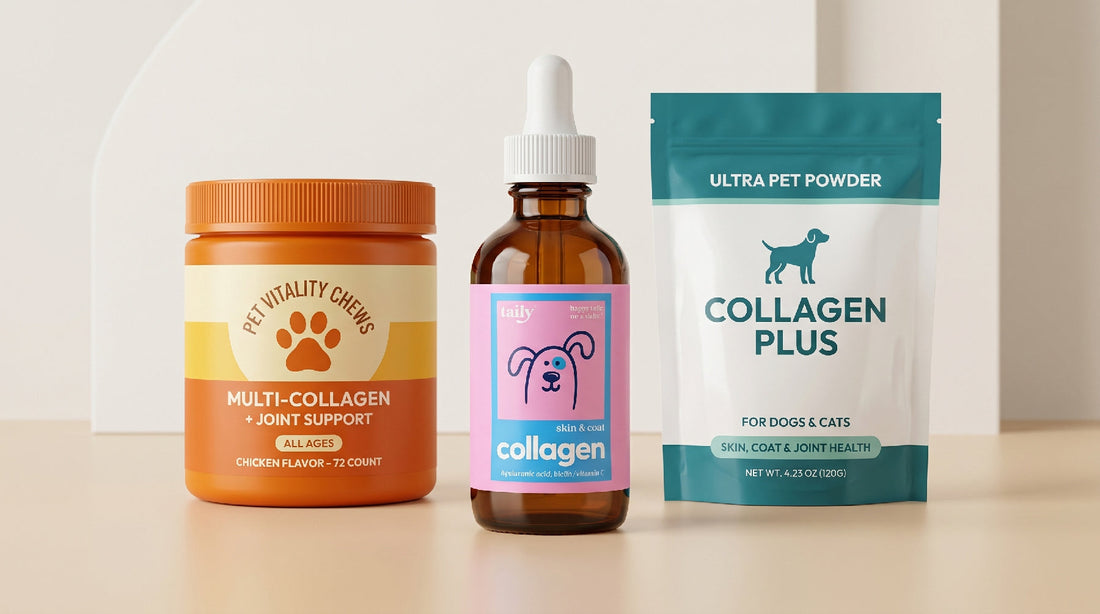 Liquid vs Powder vs Chew: Which Collagen Form Works Best for Dogs?