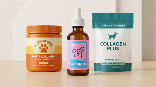 Liquid vs Powder vs Chew: Which Collagen Form Works Best for Dogs?