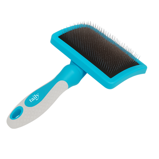 daily brush