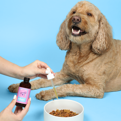 Collagen & Vitamins for Pets