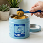 NAD+ longevity