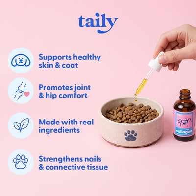 Taily Collagen benefits overview