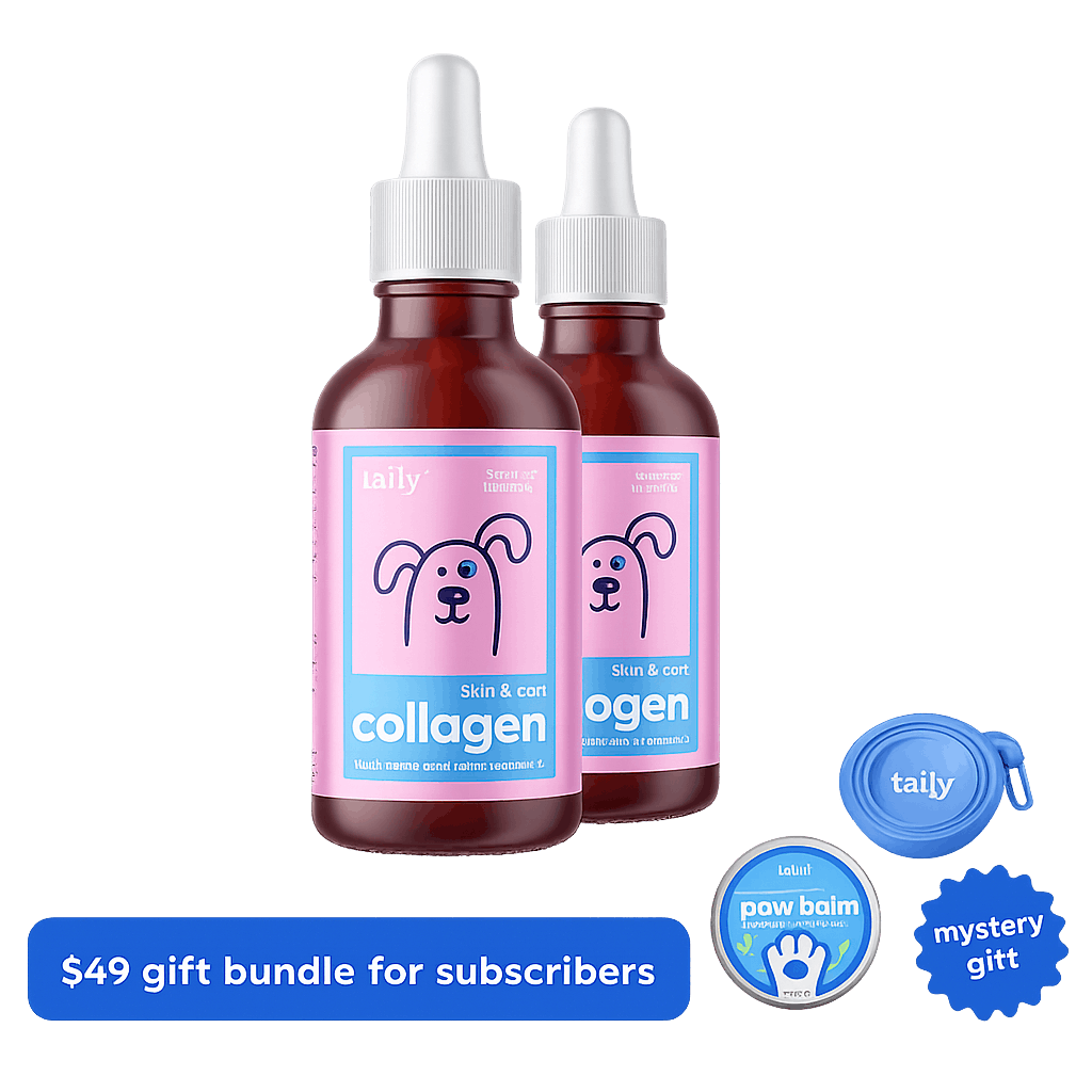 collagen starter 2-pack