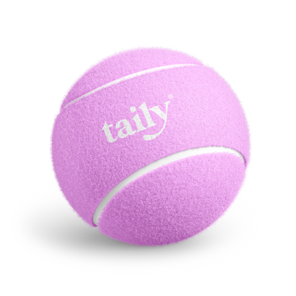 tennis ball 2 pack