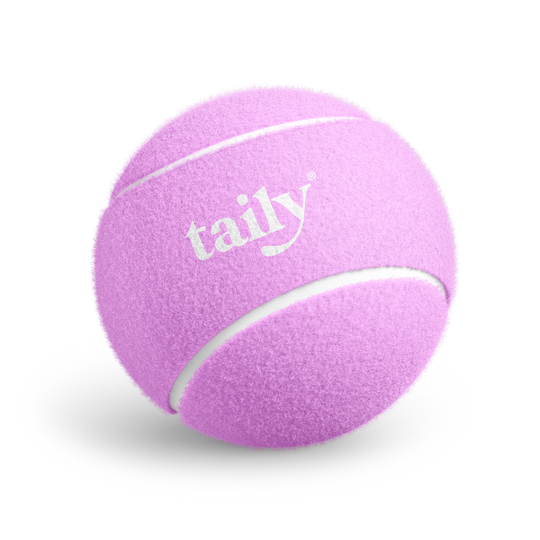 tennis ball 2 pack
