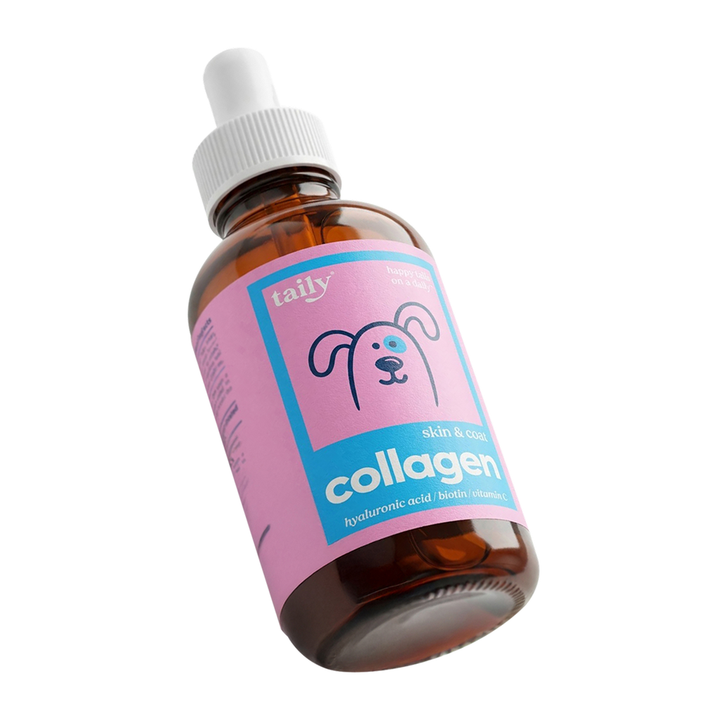 Taily liquid collagen bottle for dogs