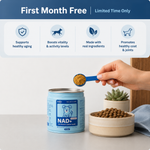 NAD+ longevity