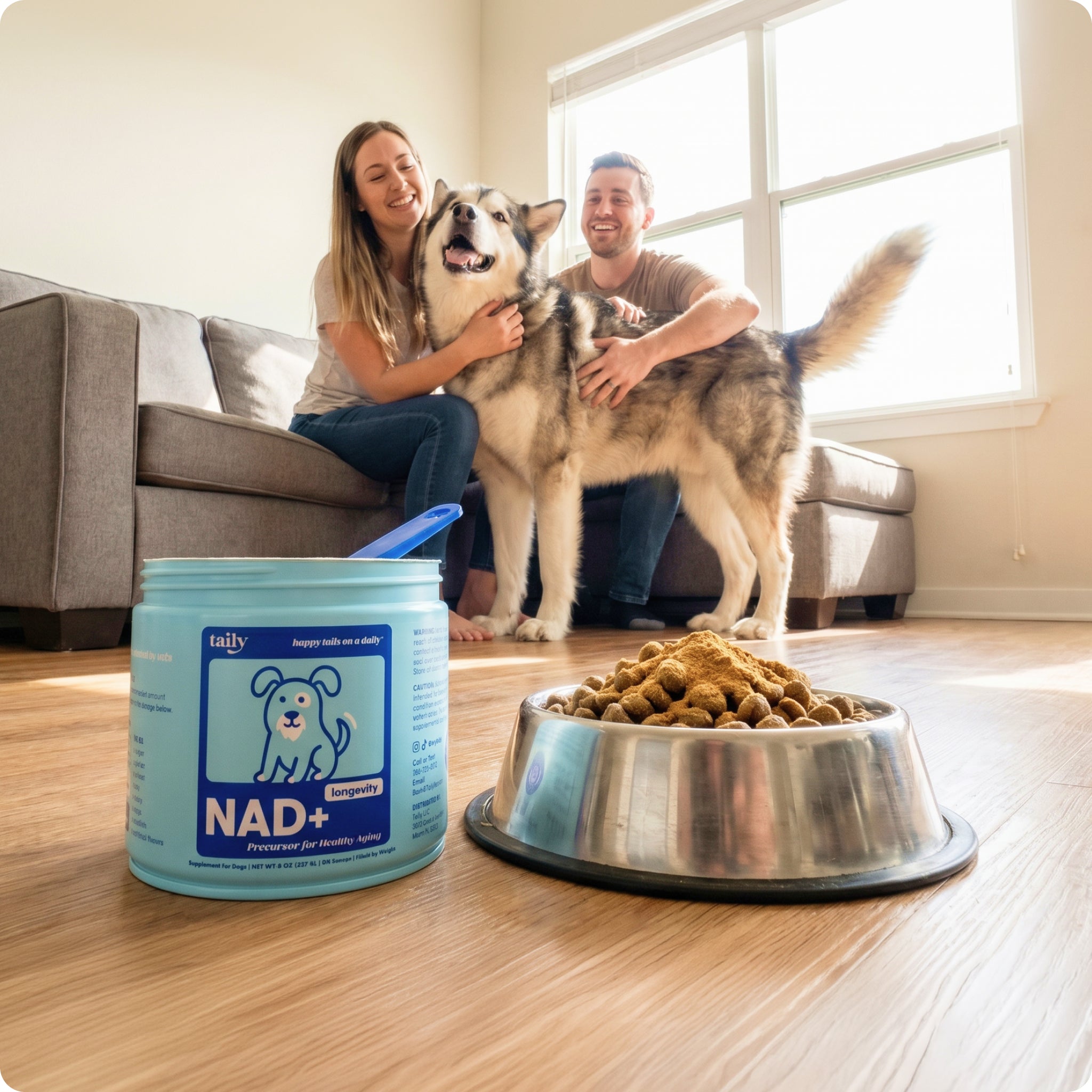 NAD+ longevity