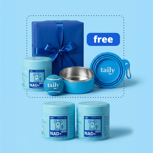The Complete NAD+ Longevity Bundle