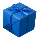 Surprise Gift
