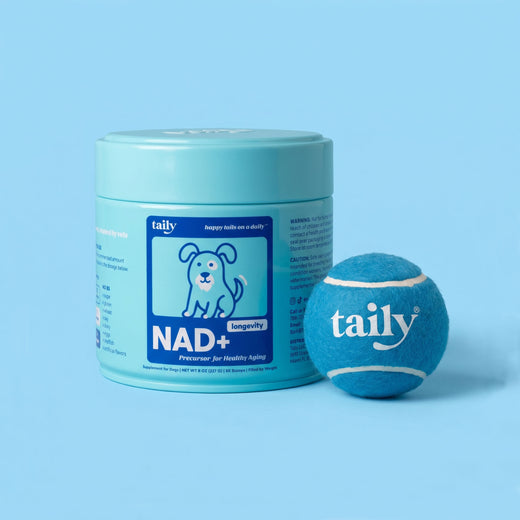 The Daily NAD+ Starter Pack