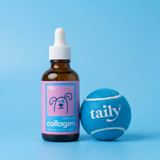 The Daily Collagen Starter Pack