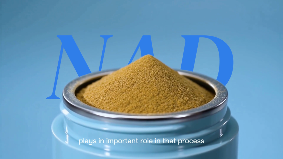 Age Slower Live Better NAD for Pets